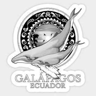 Humpback Whales Ecuador Galápagos Sticker